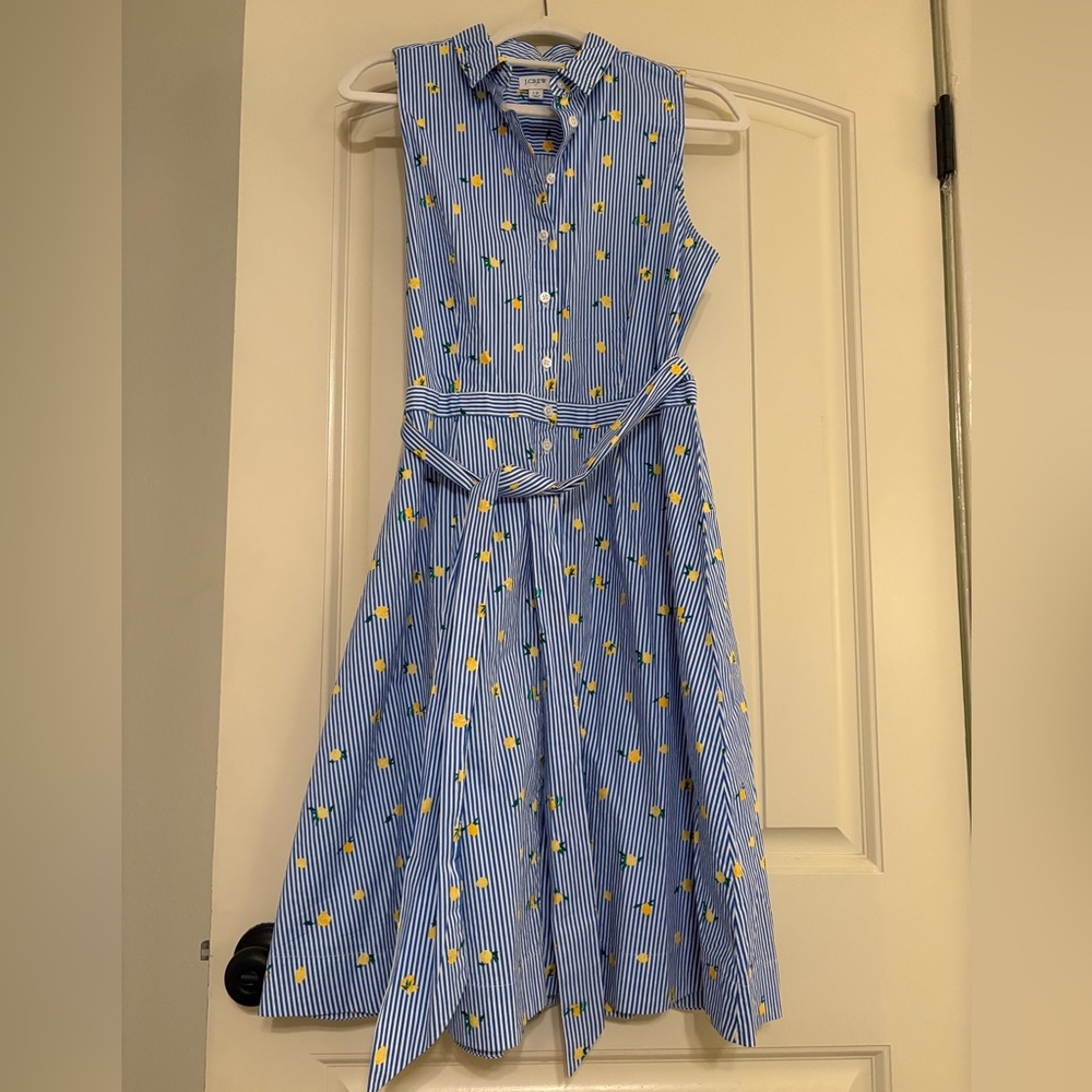 Blue and White Striped Dress